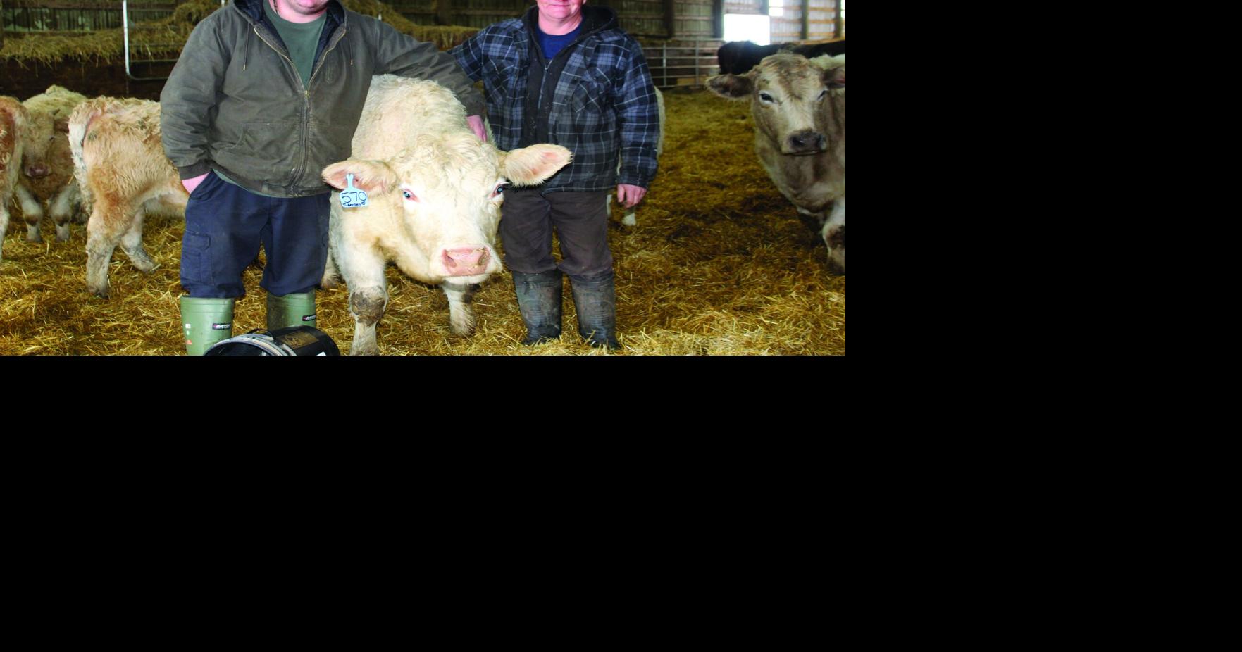 Rayner Farms highlight innovation and diversification for ...