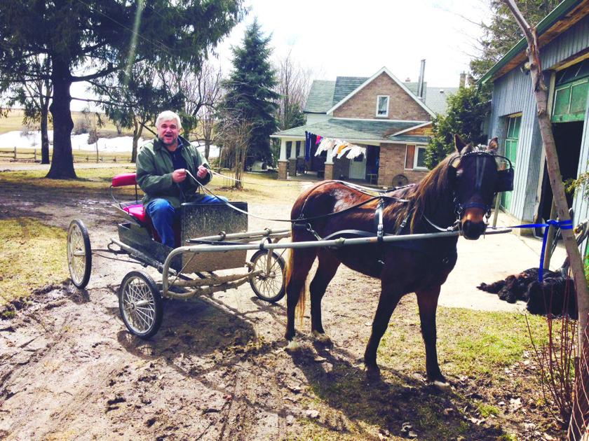 Ontario Mennonite And Amish Country A Visit To A Gentler Time