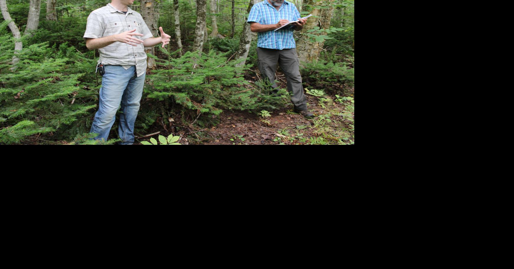 Forestry commission wants to see more from province | The Eastern ...