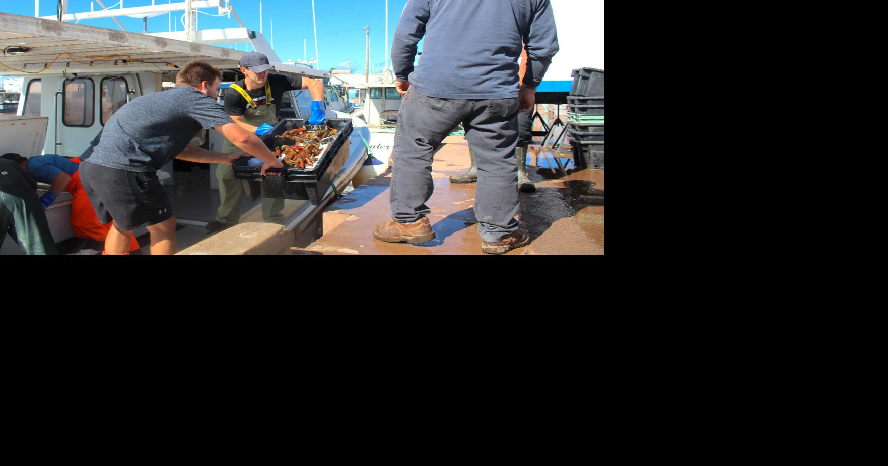 Fishers cautious as they reach the midway point of lobster season