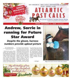 The 12 Ways Of Standardbred Retirement Atlantic Post Calls Peicanada Com If you are an individual with a disability and require a reasonable accommodation to complete the application process, please email human resources at ability@icareerhelp.com for further assistance. the 12 ways of standardbred retirement