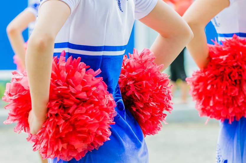 nfl pom poms