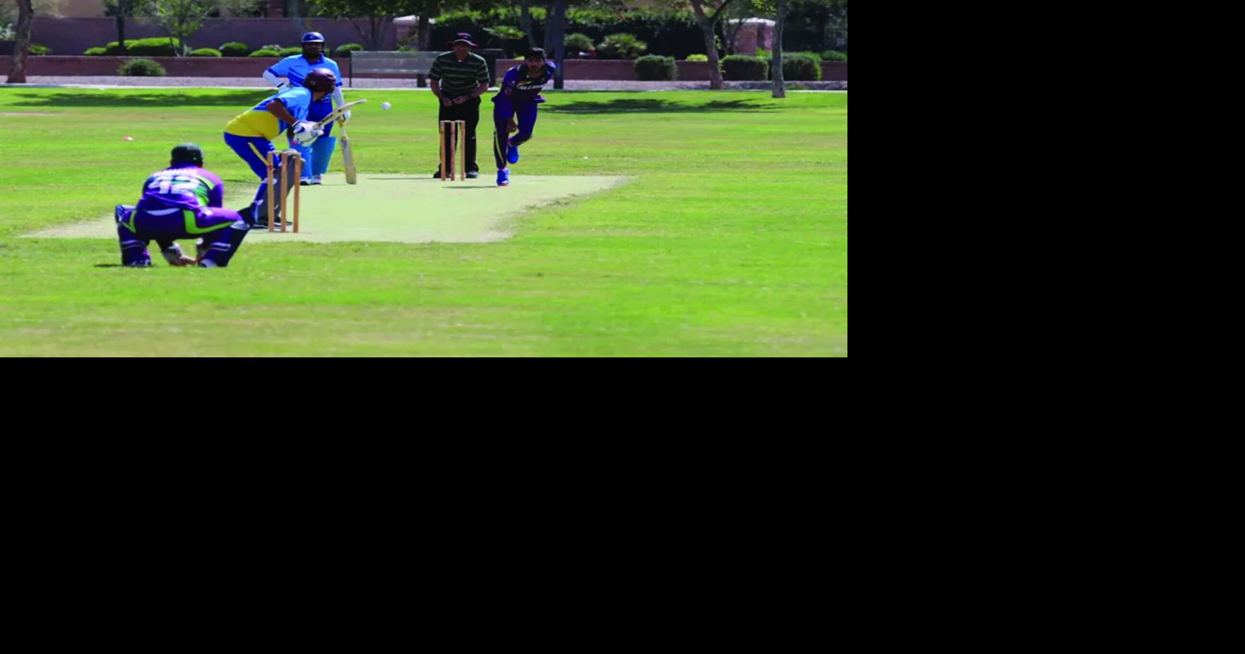 Cricket takes root in Arizona