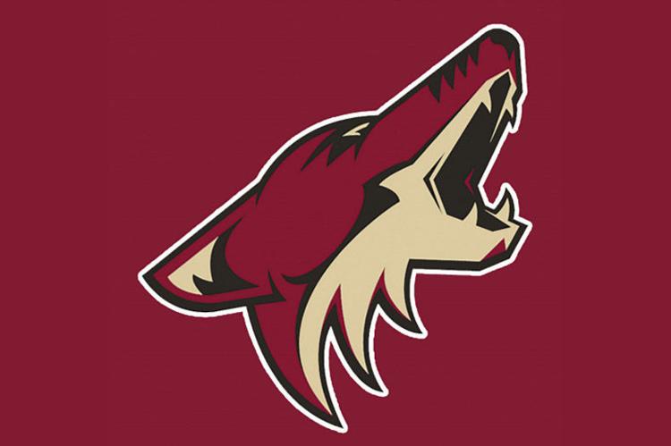 Coyotes playing well heading into 2020 | Sports | peoriatimes.com