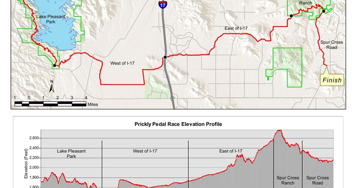 Prickles Racing Prickly Pedal Mountain Bike Race for serious and fun riders | News ...