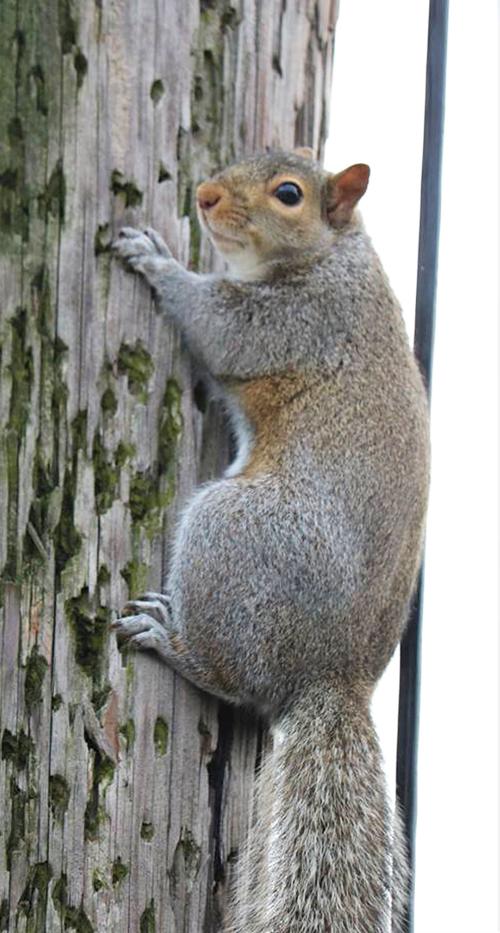 What you lookin’ at?
