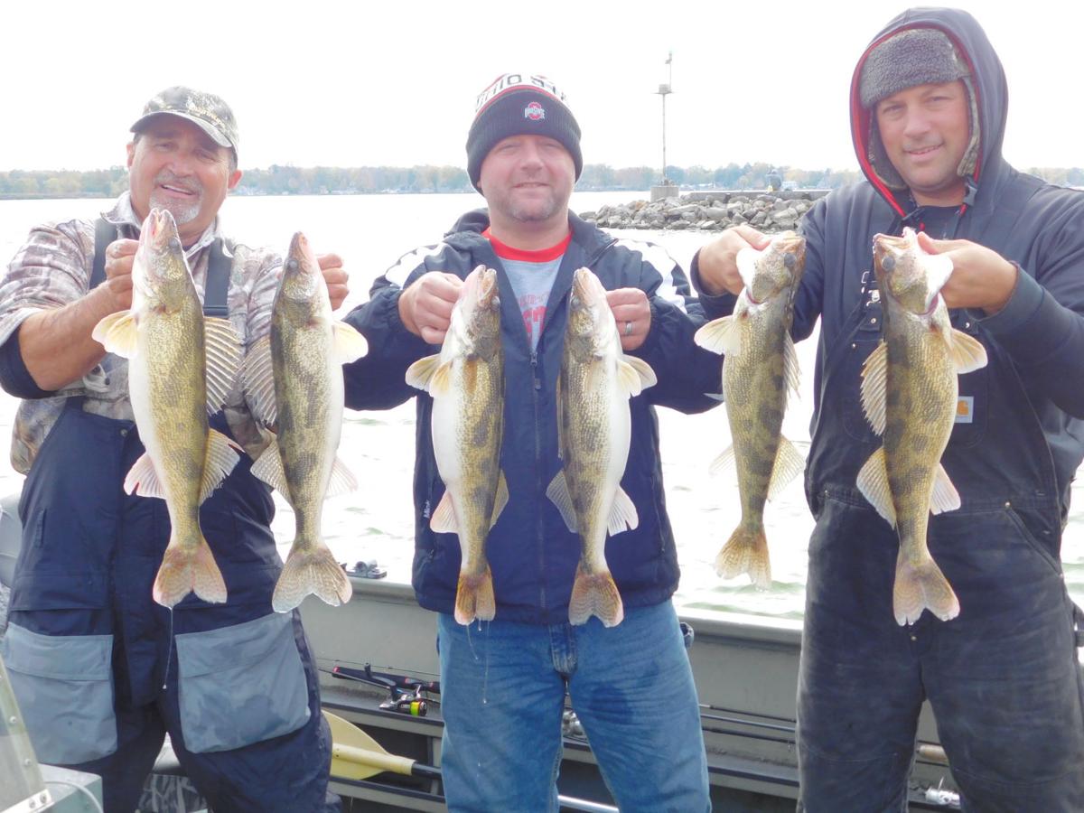 Shortcut to Buckeye Saugeye Sports