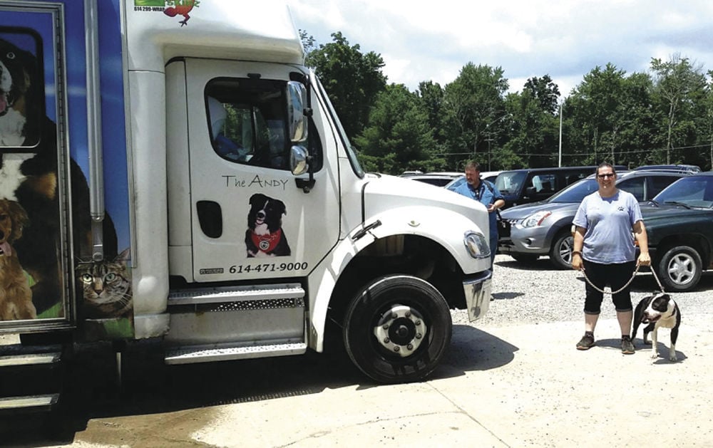 mobile dog spay near me