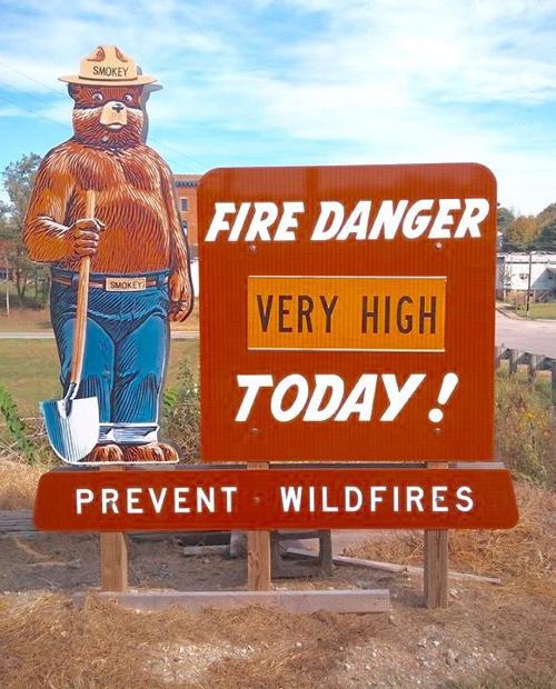 Smokey the Bear — no more