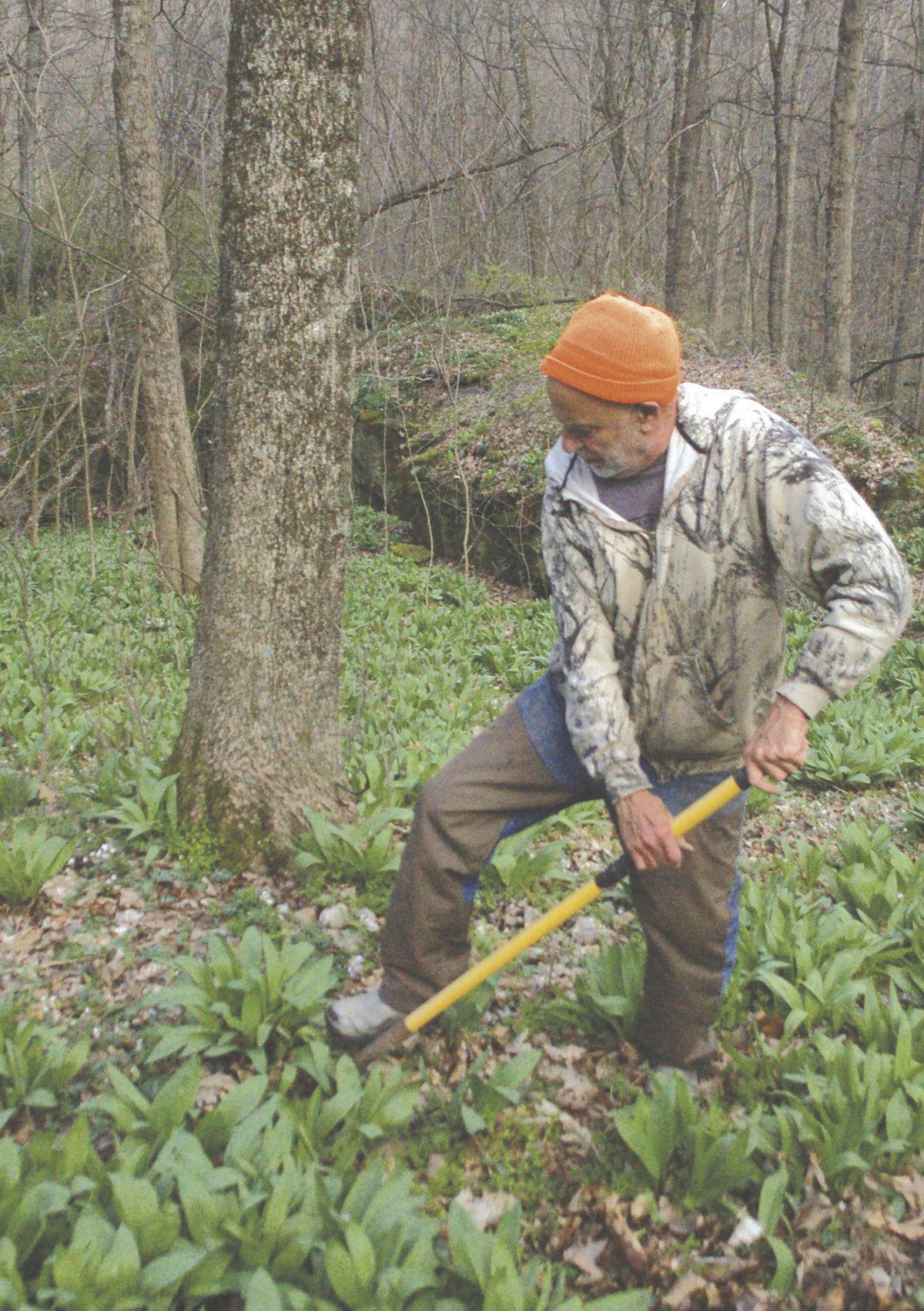 Ramps around Elder Rocks Community