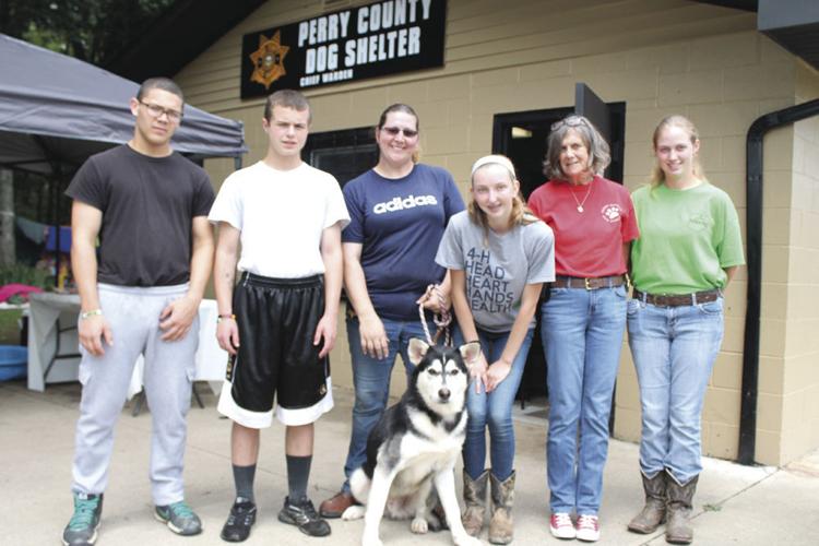 County hires new dog warden News