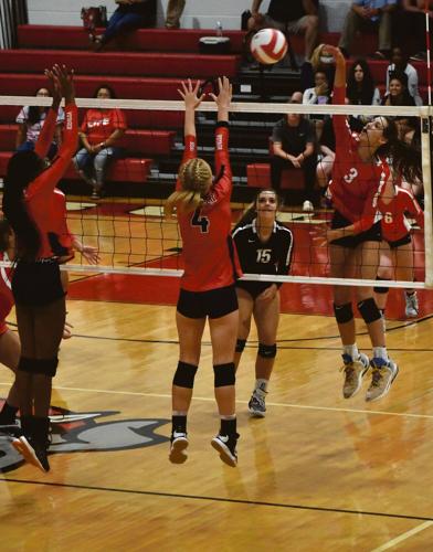 Volleydogs overcome sloppy play, down Vikings in four