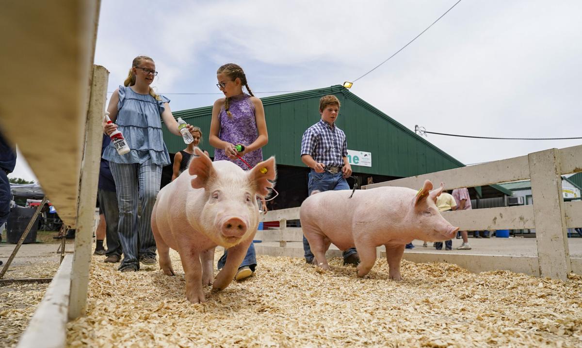 county-fair-day-5-0036.JPG