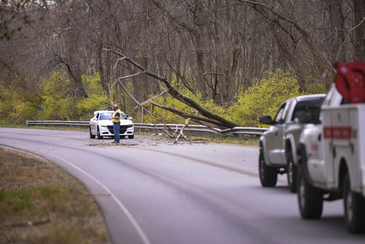Tree crashes onto SUV eastbound on US 24 Local News