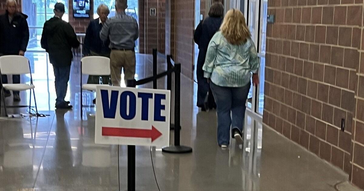 Flood of poll watchers, observers, monitors to descend on midterm voters