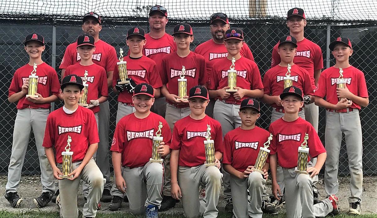 Strong showings Logan youth baseball squads compete in state