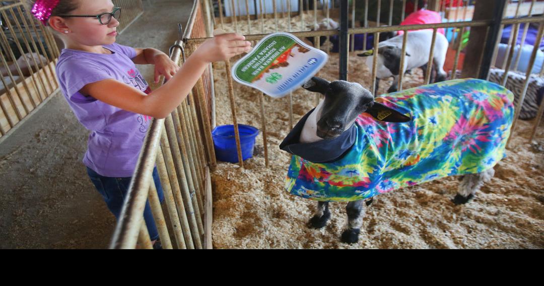 Cass County 4H Fair Day Two News