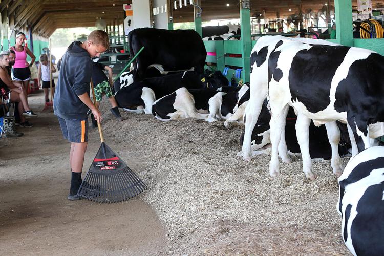 2023 Cass County 4-H Fair: Schedule, event guide and more | News |  pharostribune.com