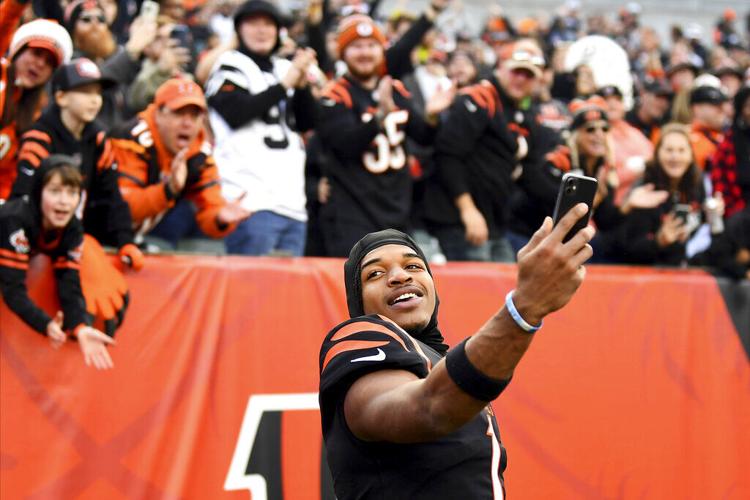 Fans celebrate Bengals win, react to fight with Rams during
