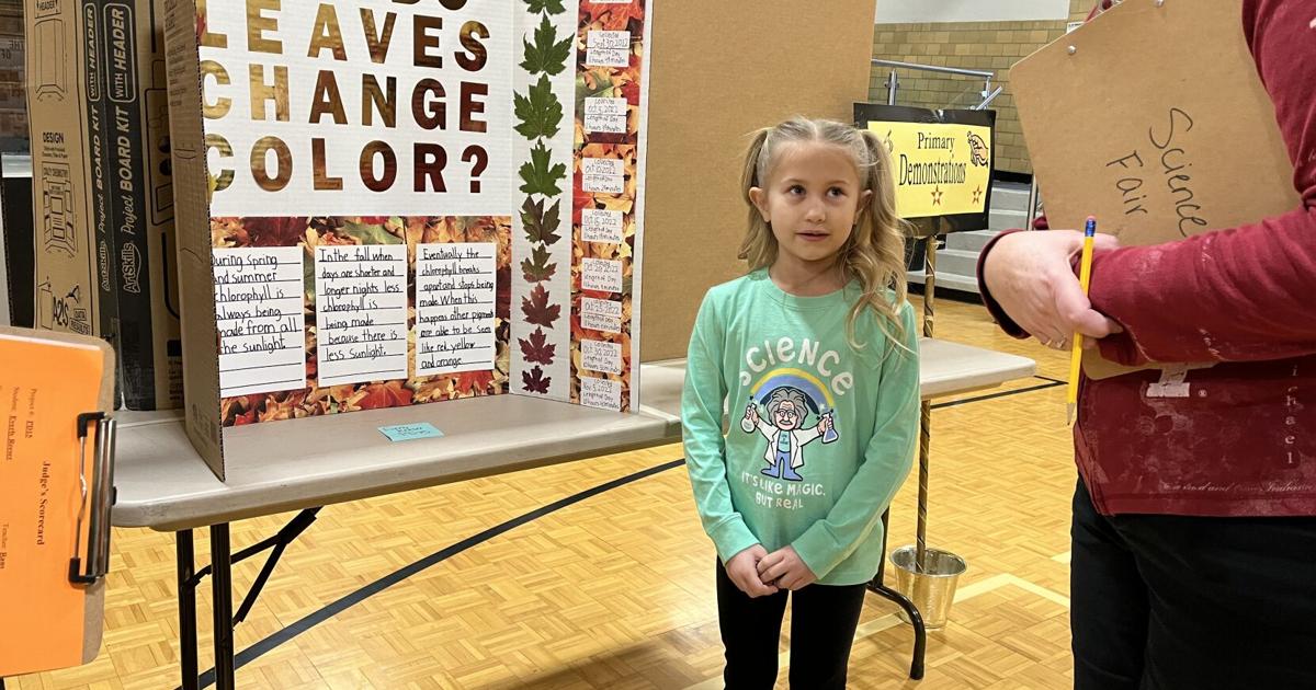 Young scientists showcase projects at Pioneer science fair | News ...