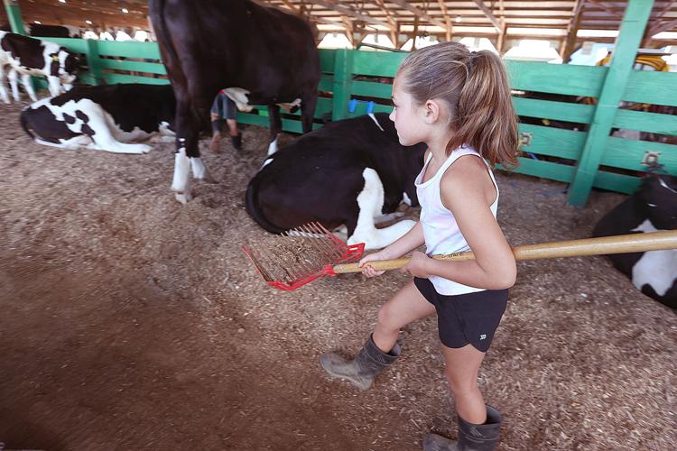 2023 Cass County 4-H Fair: Schedule, event guide and more | News |  pharostribune.com