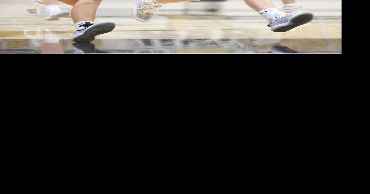 GIRLS BB: Winamac tops Delphi to win Indiana Kitchen Classic | Sports ...
