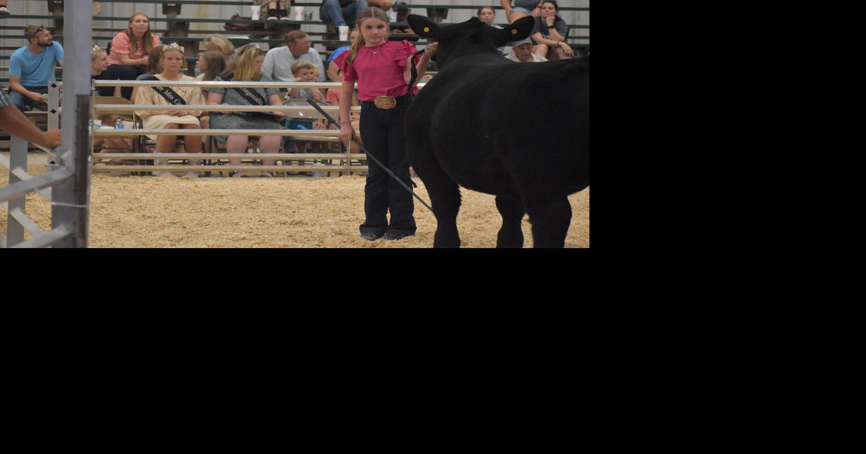 65th Annual Cass County 4-H Fair - Schedule, event guide and more