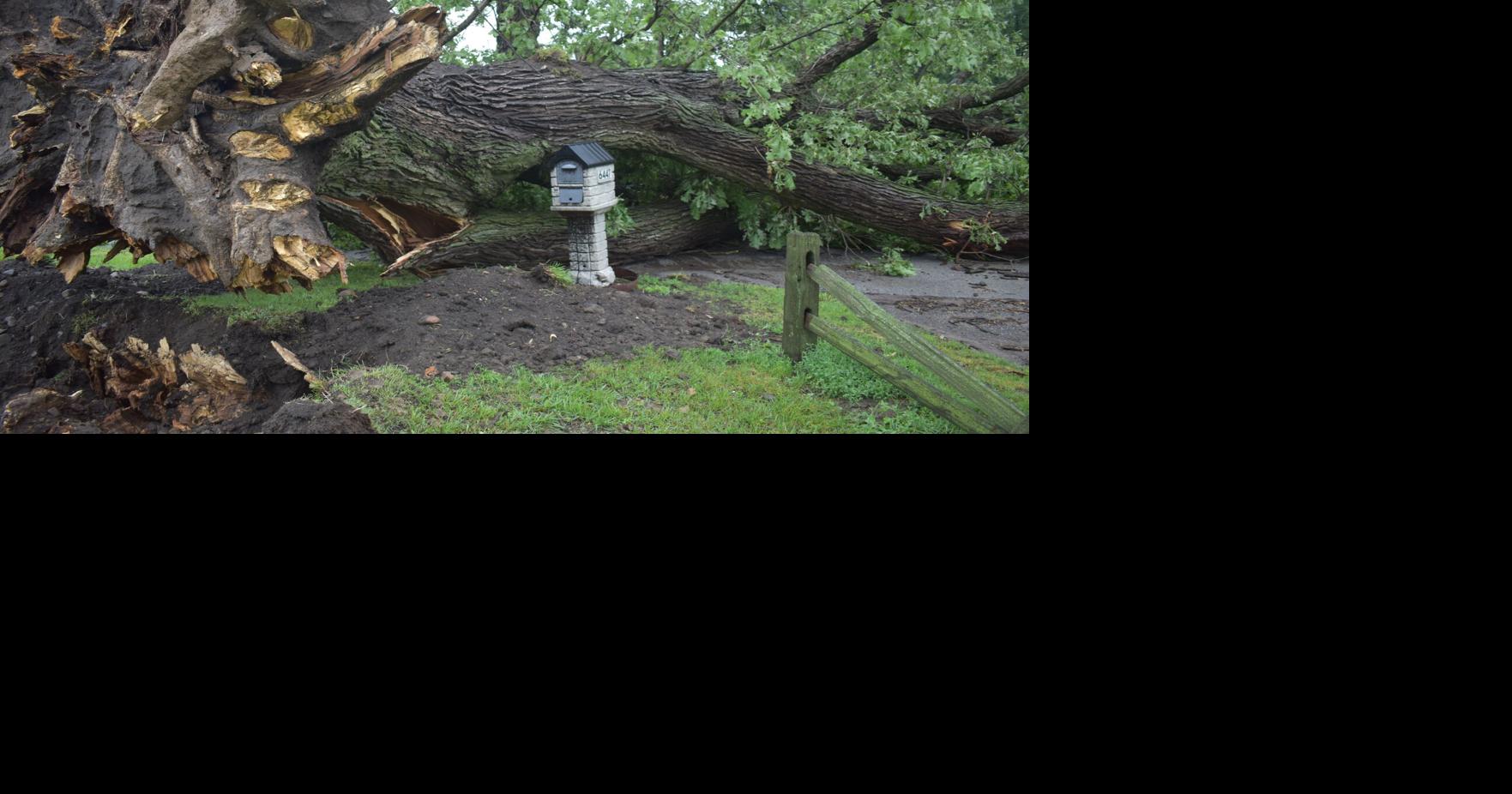 PHOTOS: Wednesday storm causes damage in Royal Center | Gallery ...