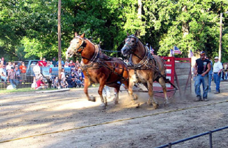 Winamac to celebrate Power From the Past Local News