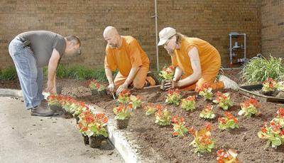 LANDSCAPE REHABILITATION: