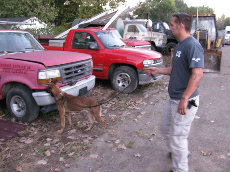 Dogs train for bomb and drug detection at Logansport businesses Local