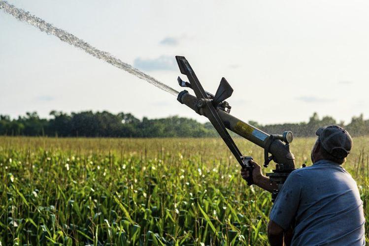 THANK A FARMER: Too much, then not enough | Local News ...