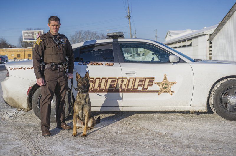 Meet Zeno Cass County Sheriffs Departments Newest K 9 Focused On