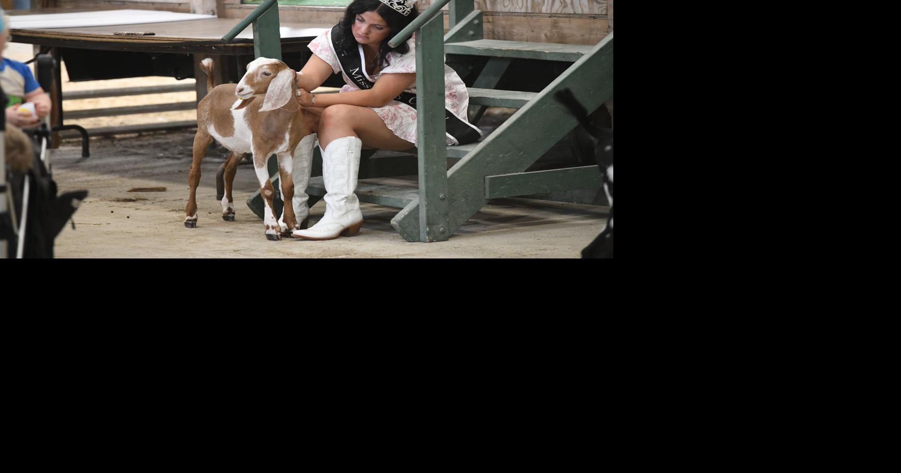 Cass County 4-H Fair closed with livestock auction