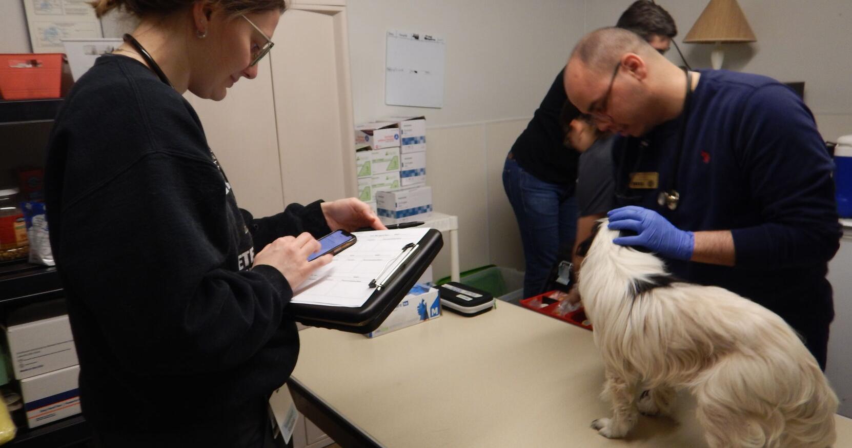Purdue Veterinary Medicine students visit Pets R Us to examine animals - Vimarsana News