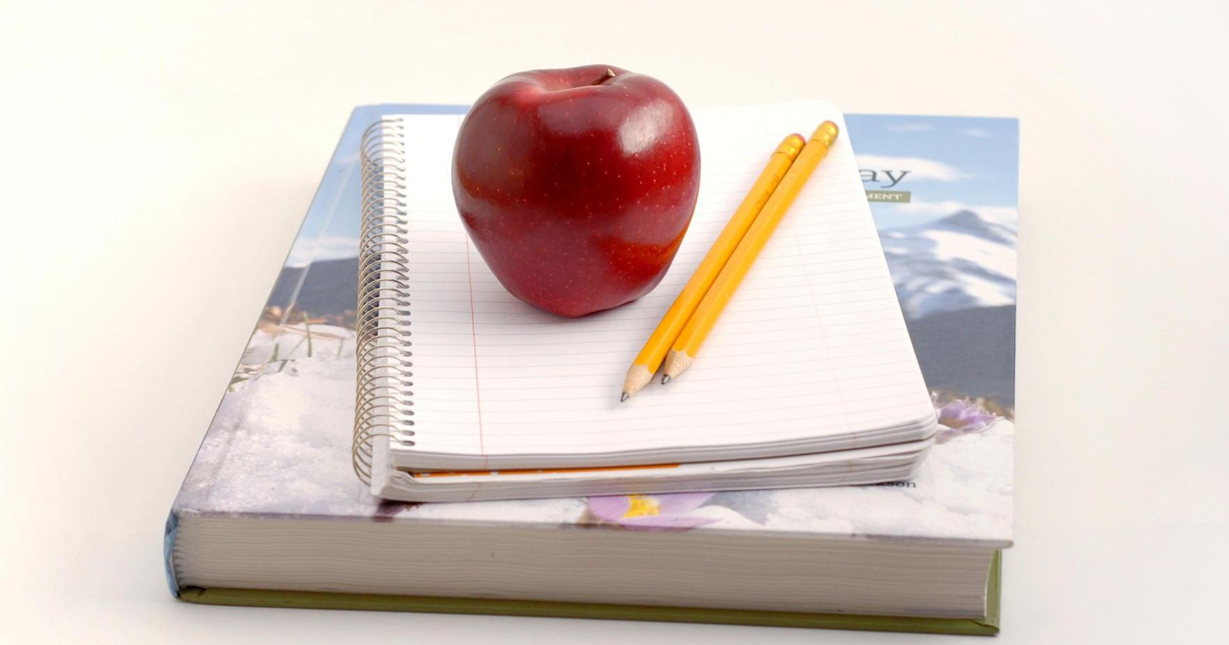 Logansport Memorial Hospital Foundation awards scholarships - Vimarsana News