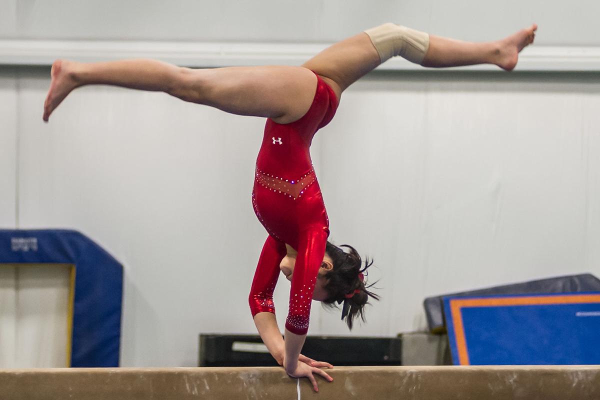 Logan gymnasts post seasonhigh score on senior night Sports