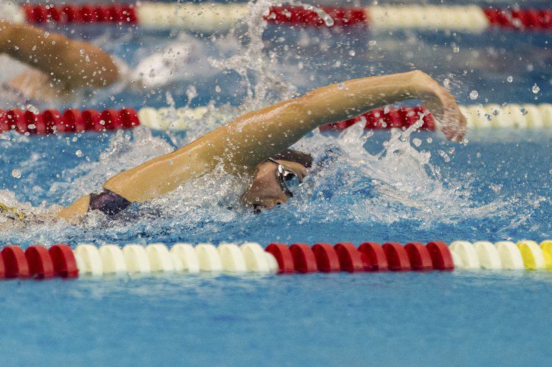 pioneer swimming lessons