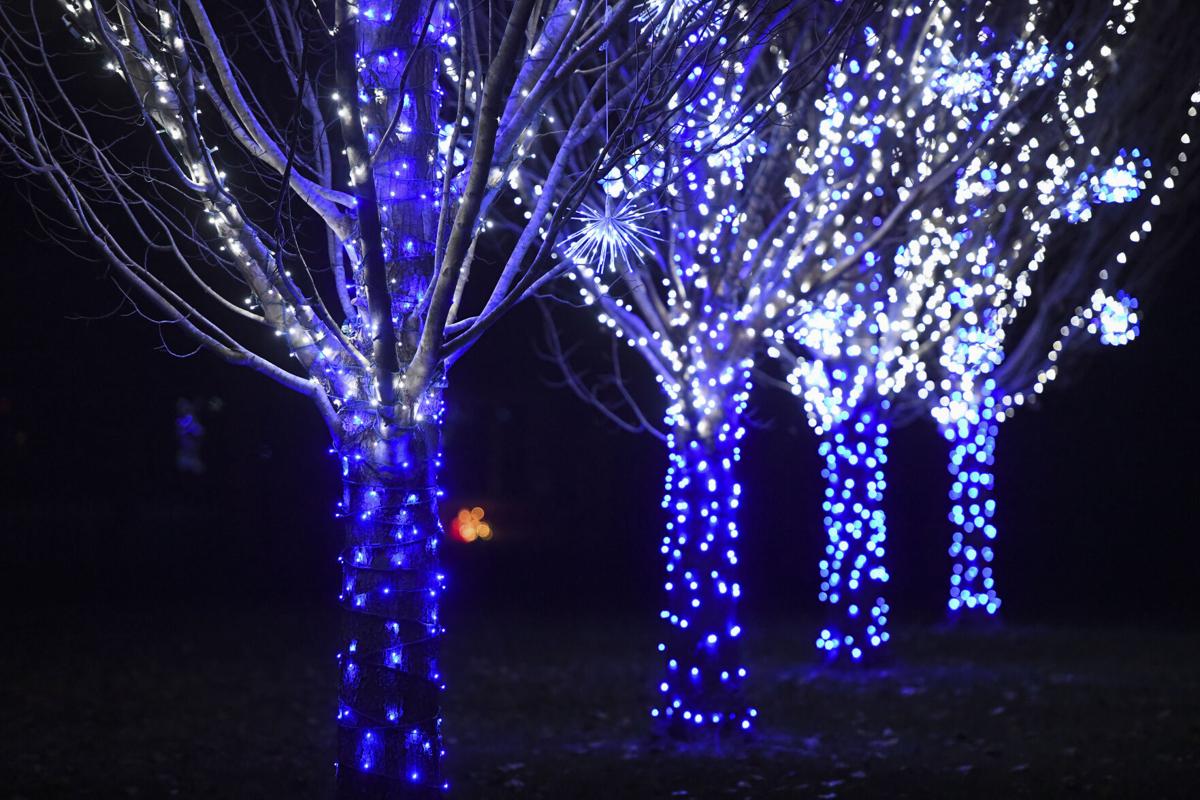 xmas_in_park_0004.jpg