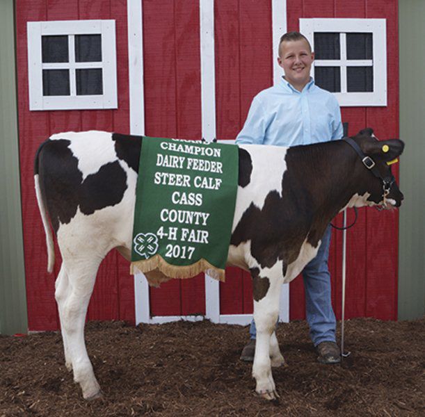 COUNTY FAIR Dairy feeder steer show winners Community Happenings