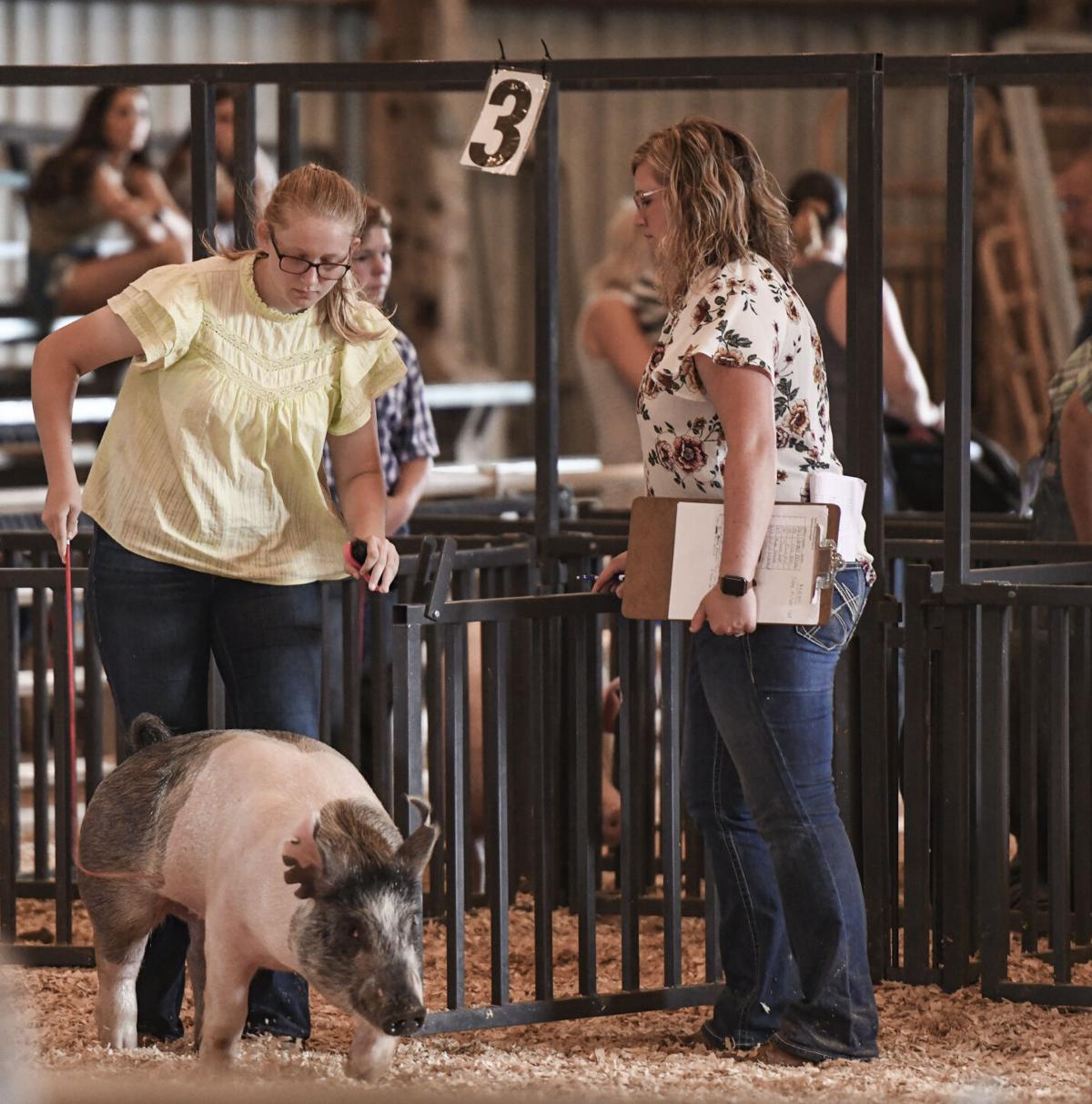 county-fair-day-5-0024.JPG