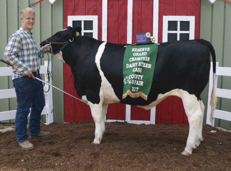 COUNTY FAIR Dairy feeder steer show winners Community Happenings