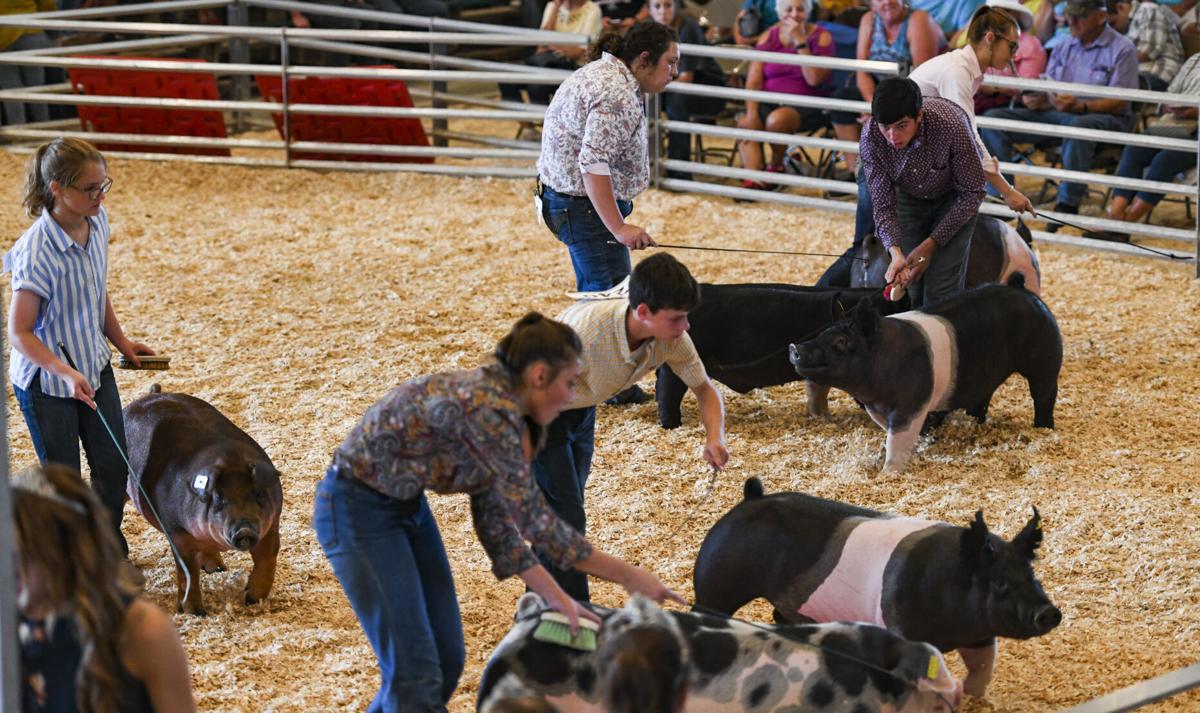 county-fair-day-5-0027.JPG