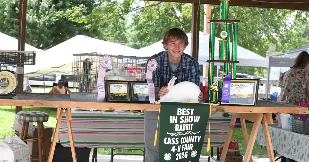 Rabbits kick off livestock shows at county fair