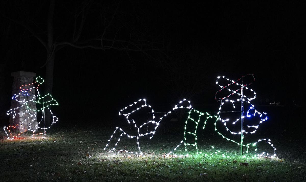 xmas_in_park_0007.jpg