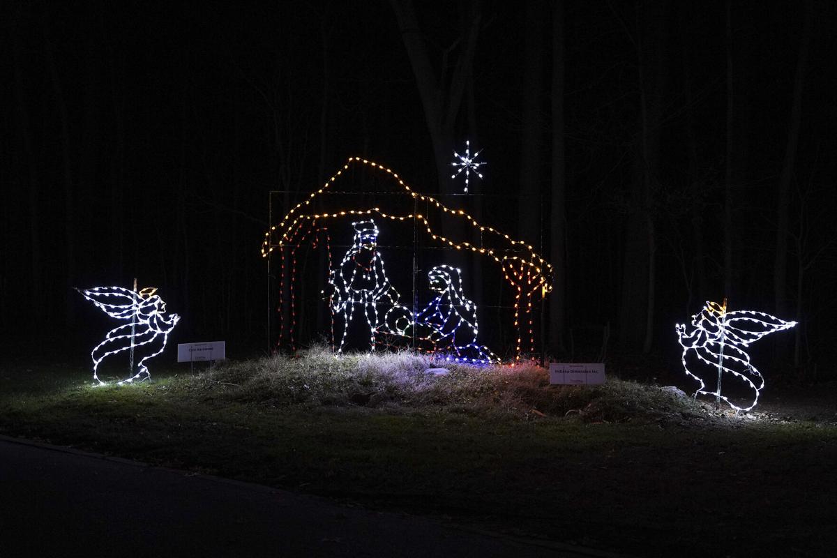 xmas_in_park_0008.jpg