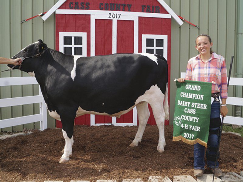 COUNTY FAIR Dairy feeder steer show winners Community Happenings