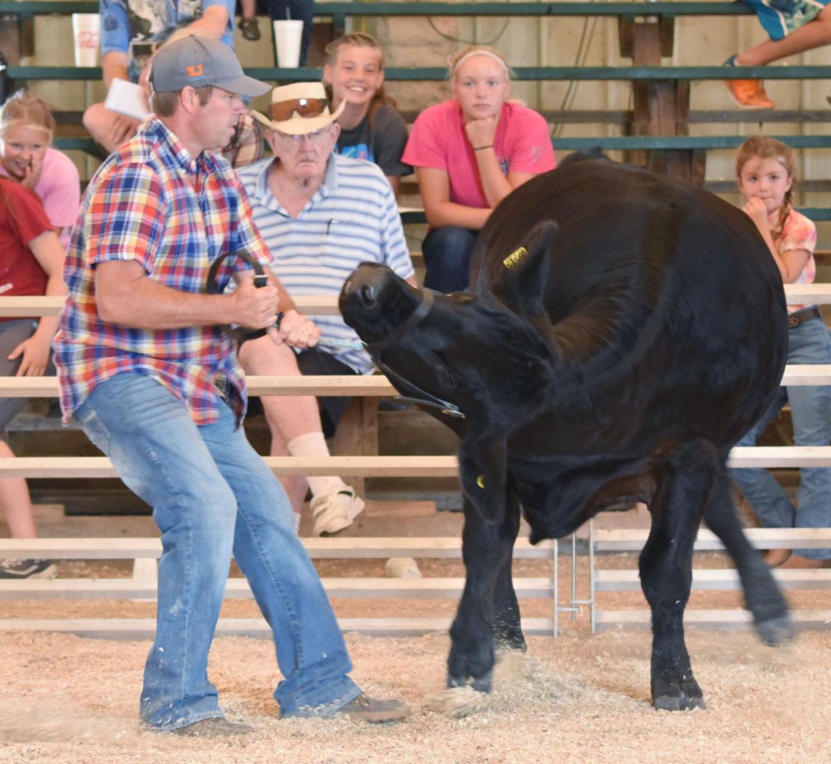 Scenes from the Cass County 4H Fair Wednesday, July 12, 2017 Cass