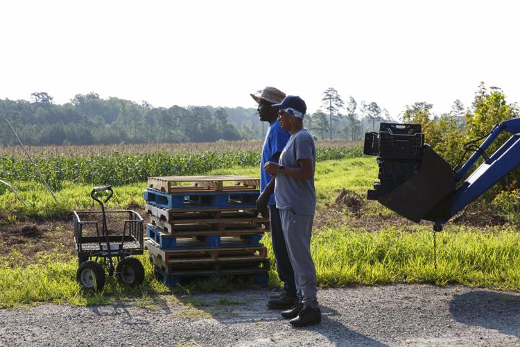 A Virginia food bank and a farmer cultivate an innovative alliance