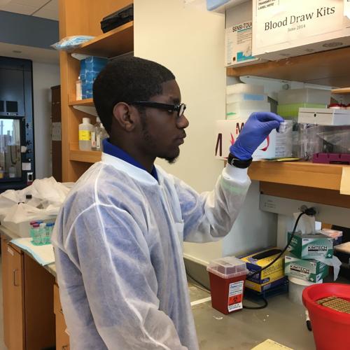 Robeson students set sights on medical careers through CHOPRISES